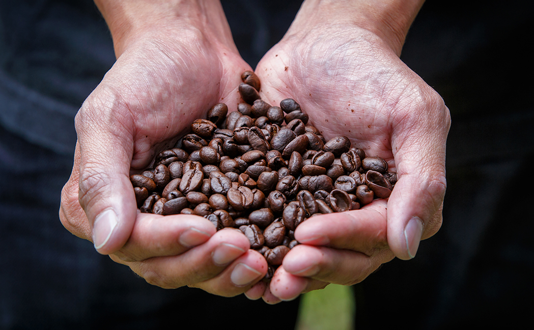 ¿Que es un café especial? Café Serranías de Jardín